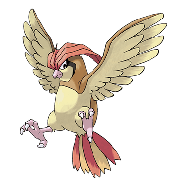 pidgeotto