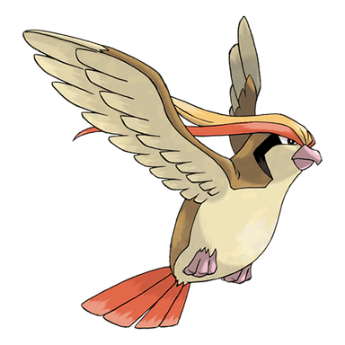 pidgeot