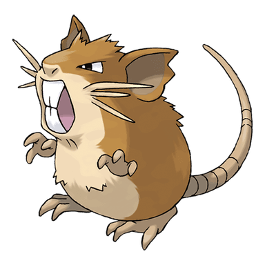 raticate